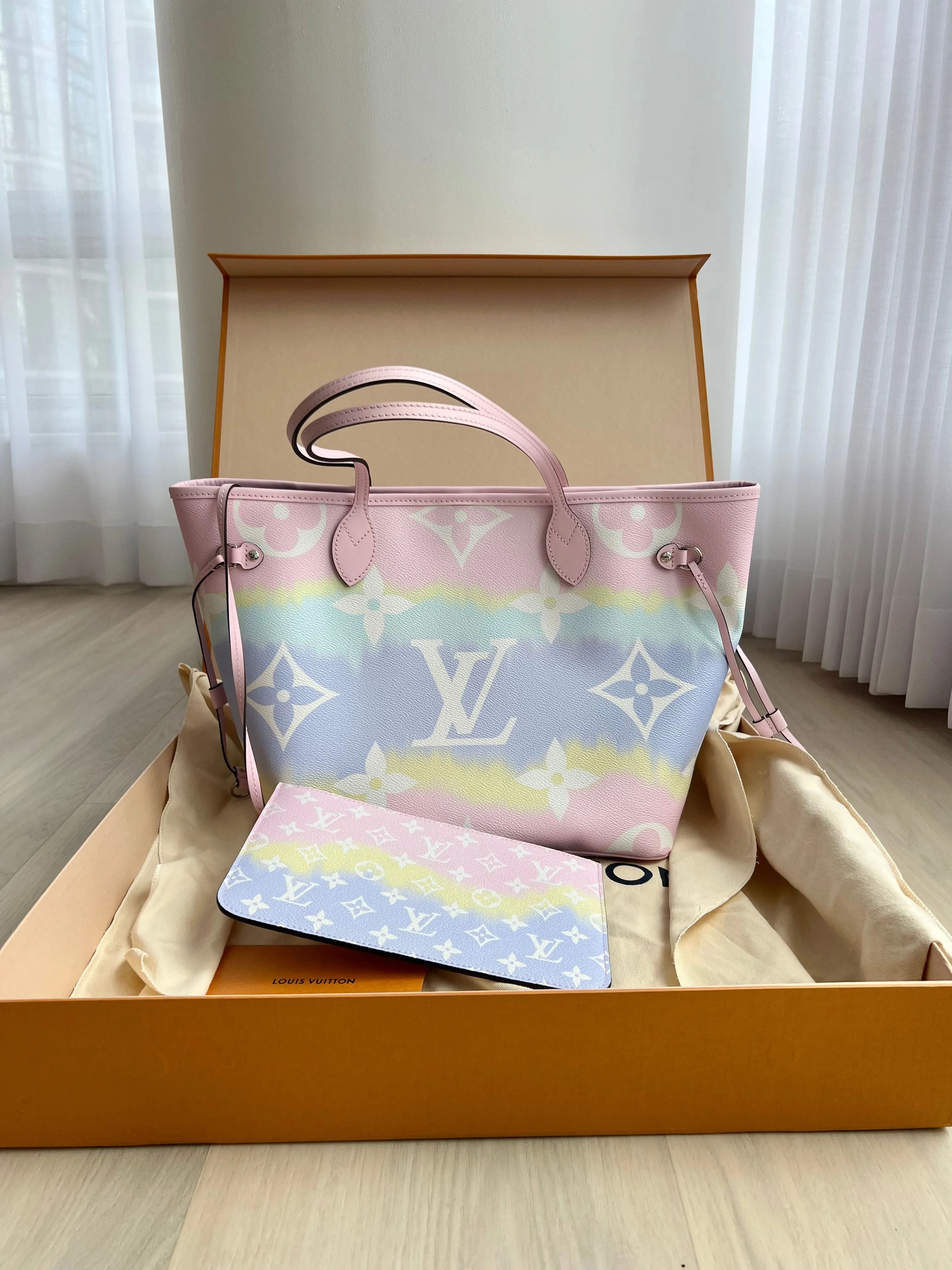 Louis Vuitton Neverfull Bag